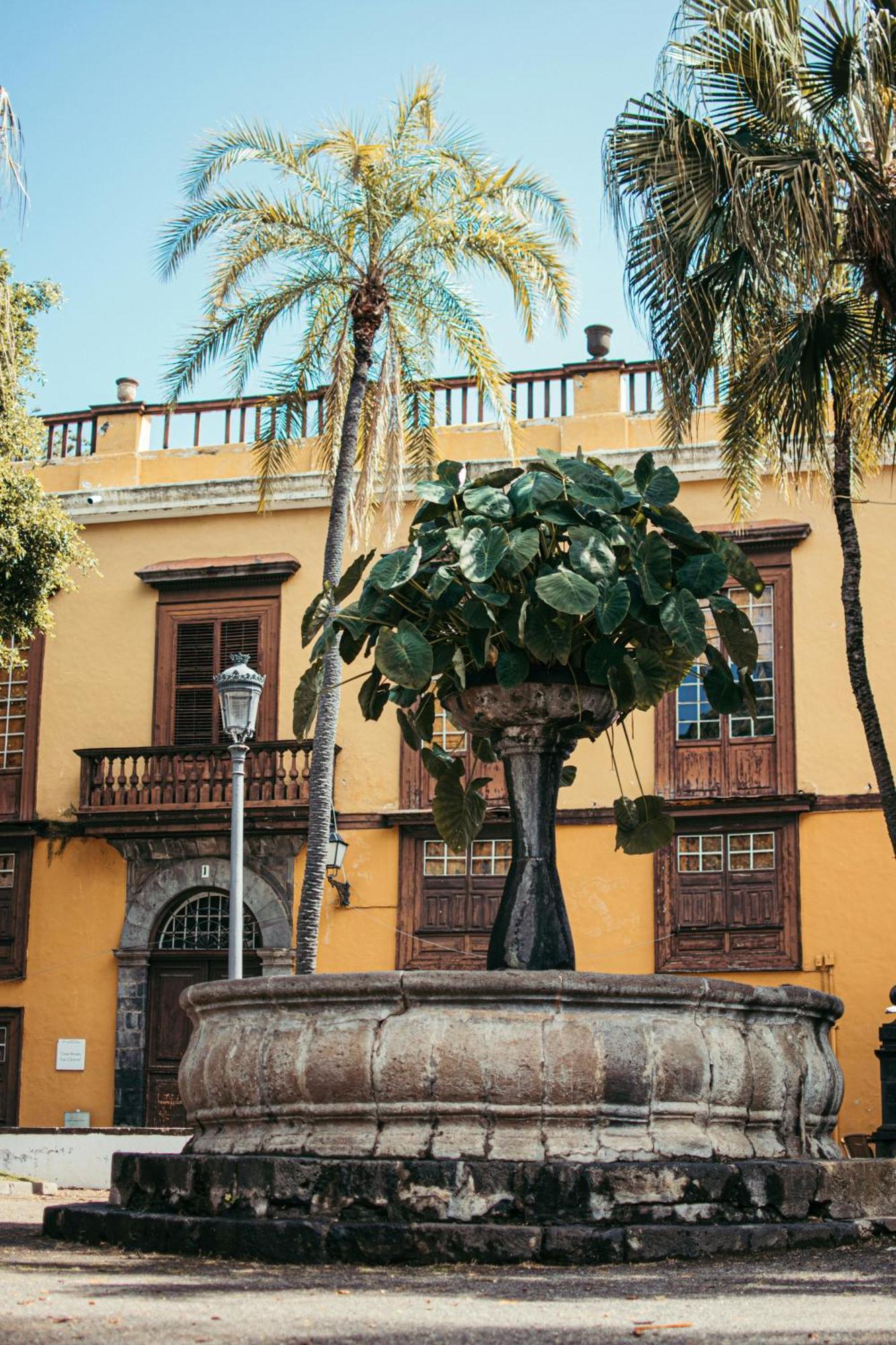 Suite 85, Villa Boutique Privada Con Piscina Icod De Los Vinos Exteriör bild